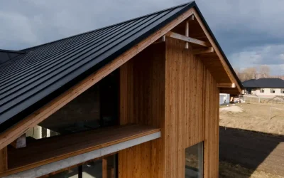 Nettoyage, démoussage et peinture de toiture : un trio gagnant pour redonner vie à votre habitation