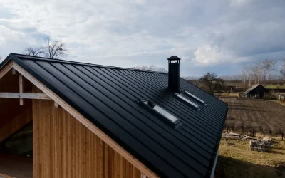 Comment nettoyer sa toiture ? Guide complet pour une toiture propre et saine.